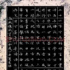 徐东杰 硬笔楷书作品《苏轼题跋书论二则》图片欣赏