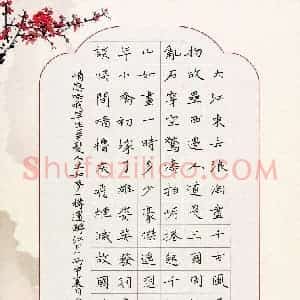 李秀和 硬笔楷书作品《苏轼词一首》图片欣赏