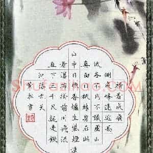 黄松(成人组)硬笔书法大赛 入围作品选登图片欣赏