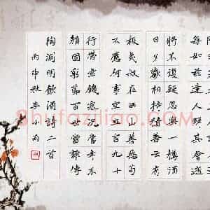 李小雨(成人组)硬笔书法大赛 入围作品选登图片欣赏
