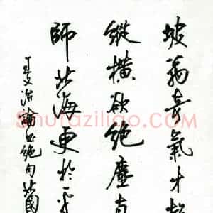 张吉祥 硬笔行书作品《王文治论书绝句》图片欣赏