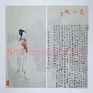 秦钰 硬笔楷书作品《美人赋》图片欣赏
