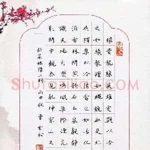 曹云松(成人组)硬笔书法大赛 入围作品选登图片欣赏