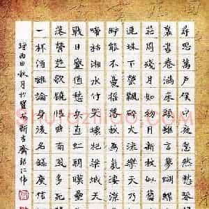 张仁伟(成人组)硬笔书法大赛 入围作品选登图片欣赏