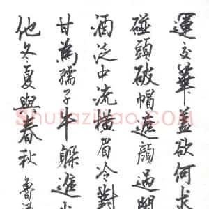 张吉祥 硬笔行书作品《鲁迅诗句》图片欣赏