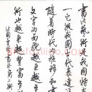 张吉祥 硬笔行书作品《书法艺术》图片欣赏