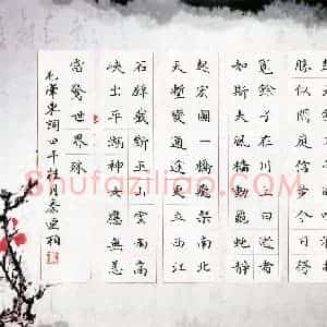 秦连柏(成人组 铜奖)硬笔书法大赛 获奖作品图片欣赏