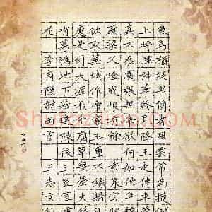 王志文(成人组)硬笔书法大赛 入围作品选登图片欣赏