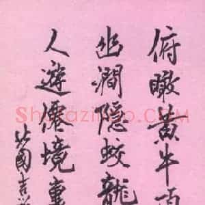 张吉祥 硬笔行书作品《张义纯诗句》图片欣赏
