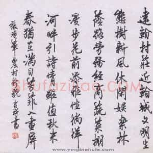 张吉祥 硬笔行书作品《张晓华农村新貌》图片欣赏
