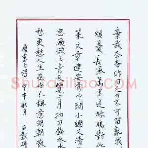 王剑锋 硬笔楷书作品《李白诗》图片欣赏