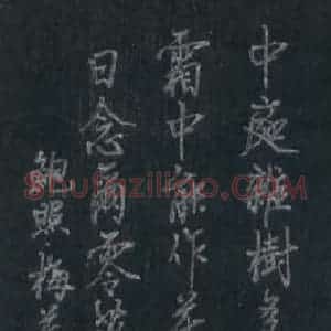 张吉祥 硬笔行书作品《鲍照梅花落》图片欣赏