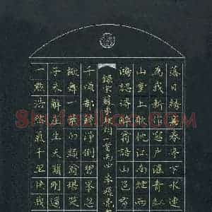 李飞亮(成人组)硬笔书法大赛 入围作品选登图片欣赏