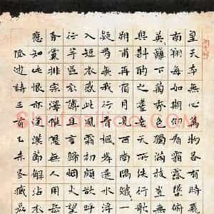 臧磊(成人组 特等奖)硬笔书法大赛 获奖作品图片欣赏