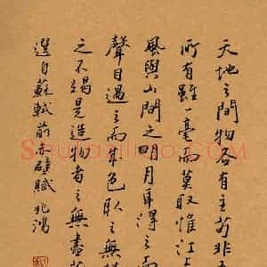 况兆鸿 硬笔行书作品《苏轼前赤壁赋节选》图片欣赏