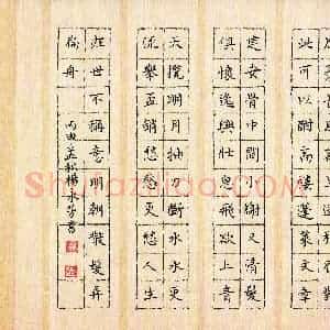 杨永芳(成人组)硬笔书法大赛 入围作品选登图片欣赏