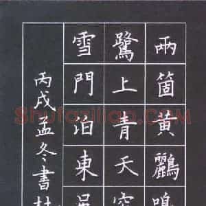 宋利学 硬笔楷书作品《杜甫诗》图片欣赏