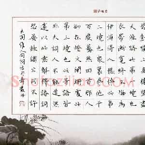 苏舜发(成人组)硬笔书法大赛 入围作品选登图片欣赏