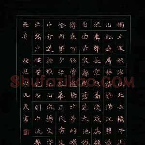 种冠宇(少儿组 9岁 特等奖)硬笔书法大赛 获奖作品图片欣赏