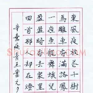 王剑锋 硬笔楷书作品《辛疾弃词青玉案元夕》图片欣赏