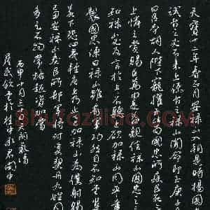 詹武钦(成人组)硬笔书法大赛 入围作品选登图片欣赏