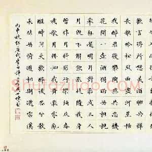 吴世栋(成人组)硬笔书法大赛 入围作品选登图片欣赏