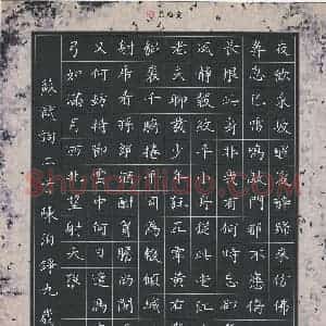 陈泊铮(少儿组 9岁 特等奖)硬笔书法大赛 获奖作品图片欣赏