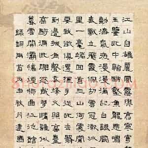 魏建国(成人组)硬笔书法大赛 入围作品选登图片欣赏