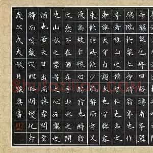 张奥(少儿组 10岁 特等奖)硬笔书法大赛 获奖作品图片欣赏