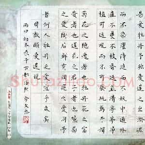 李文杰(成人组)硬笔书法大赛 入围作品选登图片欣赏