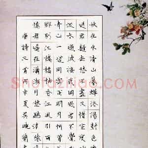 吴晓兰(成人组)硬笔书法大赛 入围作品选登图片欣赏