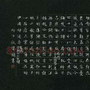 习娟(成人组)硬笔书法大赛 入围作品选登图片欣赏