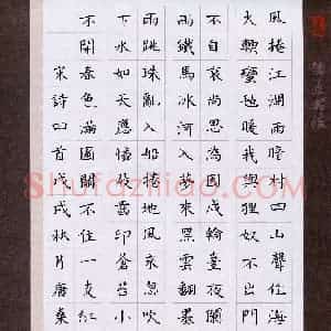 唐燊(少儿组 13岁 特等奖)硬笔书法大赛 获奖作品图片欣赏