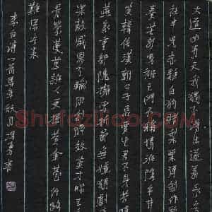 冯勇 硬笔行书作品《李白诗一首》图片欣赏