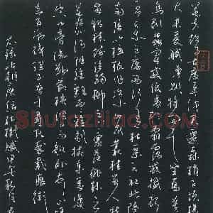 麦荣 硬笔草书作品《庾信枯树赋》图片欣赏
