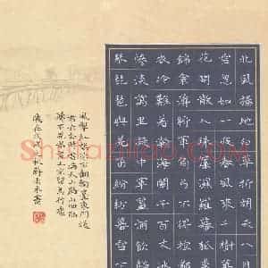 蒋雨禾(少儿组 14岁 特等奖)硬笔书法大赛 获奖作品图片欣赏
