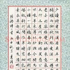 杨慧清(成人组)硬笔书法大赛 入围作品选登图片欣赏