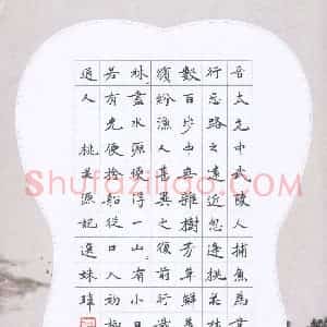 王姝玮(少儿组 14岁 特等奖)硬笔书法大赛 获奖作品图片欣赏