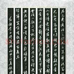 韩录涛 硬笔行书作品《节录李白诗将进酒》图片欣赏