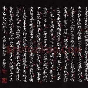 姜玉松 硬笔楷书作品《唐语林校证节抄》图片欣赏