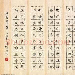 杨鸣剑 硬笔楷书作品《张炎词月下曲》图片欣赏