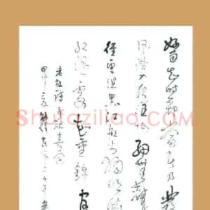梁能伟 硬笔草书作品《杜甫诗》图片欣赏