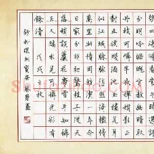 蔡楚鑫(少儿组 15岁 特等奖)硬笔书法大赛 获奖作品图片欣赏