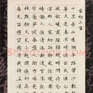 于泉祖(成人组)硬笔书法大赛 入围作品选登图片欣赏