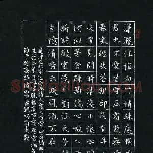 韩素艳(成人组)硬笔书法大赛 入围作品选登图片欣赏