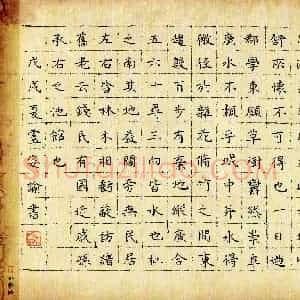 卢姿谕(少儿组 16岁 特等奖)硬笔书法大赛 获奖作品图片欣赏