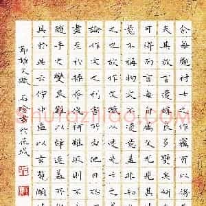 石晗 硬笔楷书作品《节录文赋》图片欣赏
