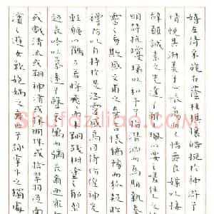 杨军 硬笔楷书作品《洛神赋》图片欣赏