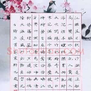 葛宸轩(少儿组 9岁 金奖)硬笔书法大赛 获奖作品图片欣赏