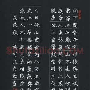 杨可凡(少儿组 9岁 金奖)硬笔书法大赛 获奖作品图片欣赏